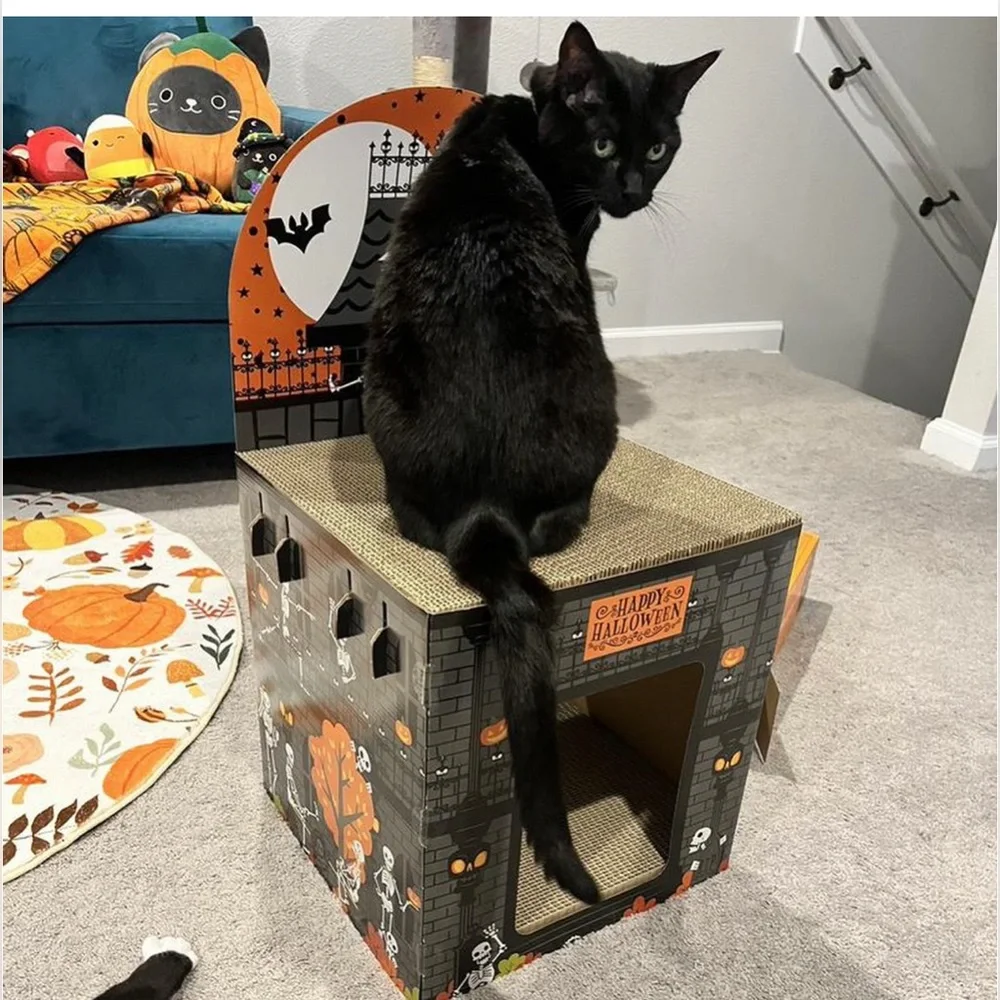 NWT Hyde & Eek Halloween Double Deck Skeleton Park Cat Scratcher